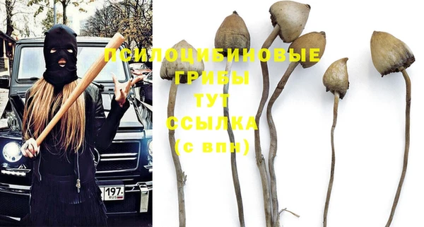 каннабис Абинск
