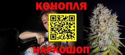 ALPHA PVP Малгобек
