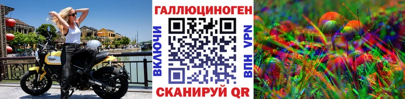 OMG   Камень-на-Оби  Псилоцибиновые грибы GOLDEN TEACHER 