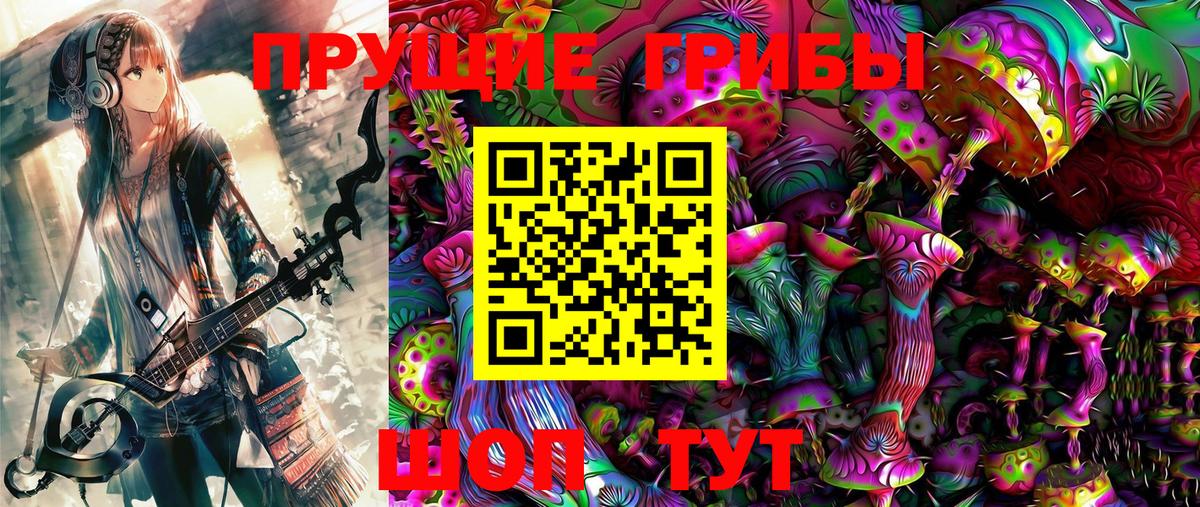 Псилоцибиновые грибы ЛСД  Галлюциногенные грибы ЛСД  Камень-на-Оби  Вход с VPN 